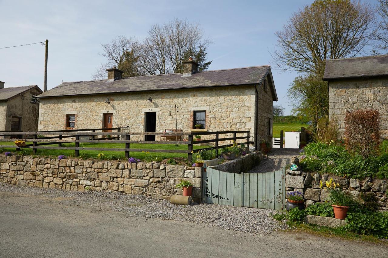 Kilquiggan Cottages Coolkenno Exterior foto